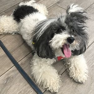 Meet your Posher, Christy